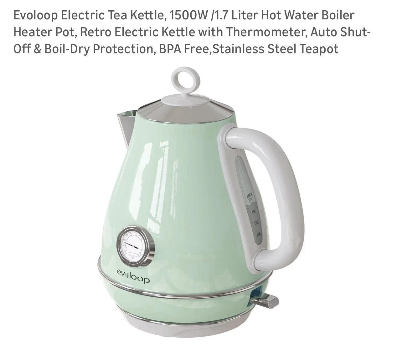 Electric Tea Kettle, 1500W /1.7 Liter Hot Water Boiler Heater Pot, Green grey