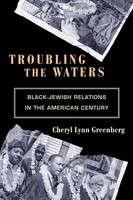 Troubling The Waters Black-Jewish Relations In The American Century Greenberg