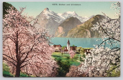 Postcard Sisikon & Urirotstock Switzerland Lake Lucerne Swiss Alps Apple Blossom