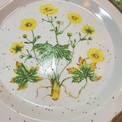 Set of 4 Buttercup Japan Floral Stoneware Bread Plates Brown