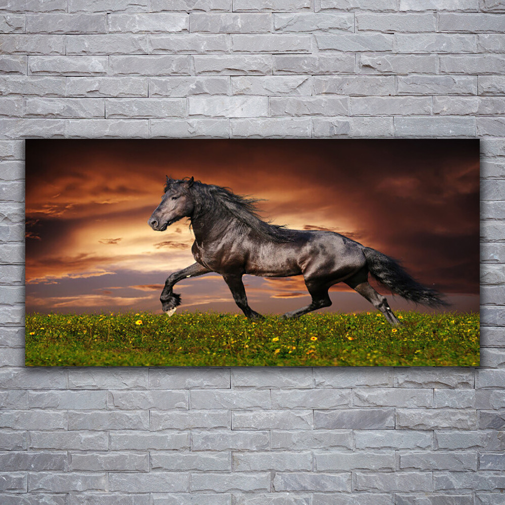 Tableau acrylique cheval noir impression panoramique plexiglas 120x60