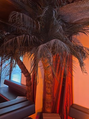 Areca Tropische Deko-Palme mit Echtblätter/natur Stamm/Standbehälter ca. 240 cm