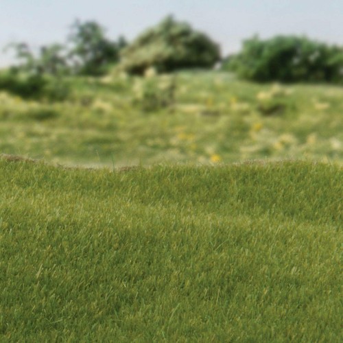 Woodland Scenics Static Grass System Model Field Scenery N, OO, O 32 Options - Afbeelding 11 van 67