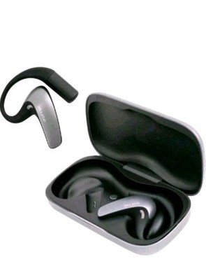 IFLYTEK AI Translation Earbuds (New)