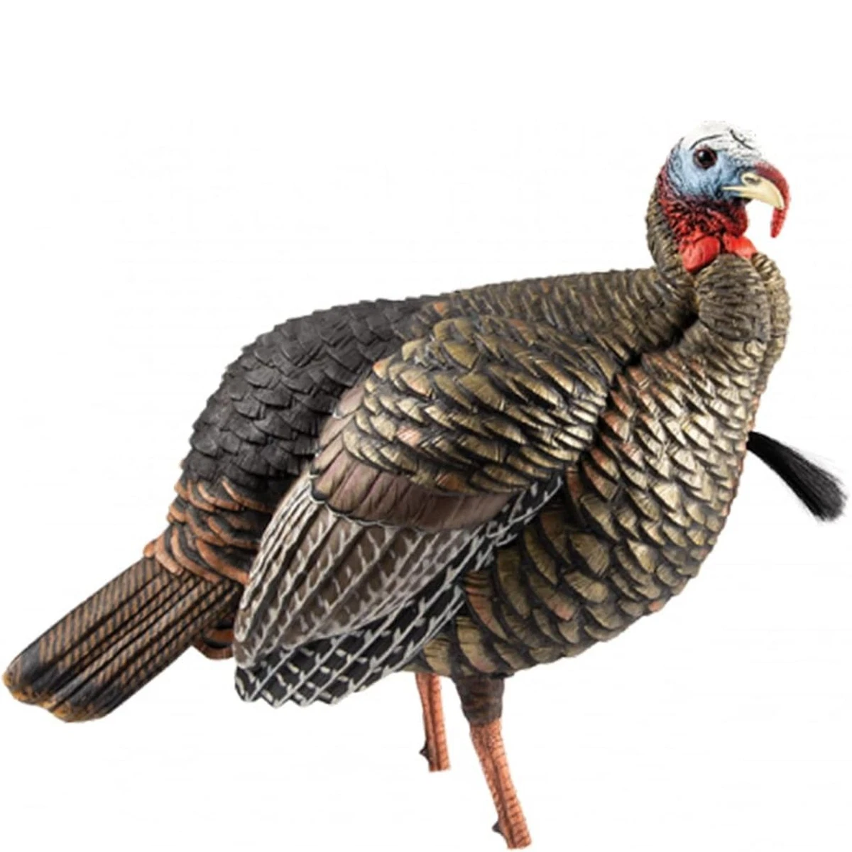Avian-X HDR Jake Turkey Decoy - AVX8105 for sale online | eBay
