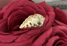 Vintage Conch Sea Shell Gold tone Hinged Scarf Clip 🐚