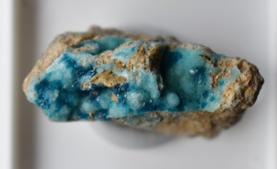 Veszelyit xx auf blauem Hemimorphit, Palabanda, Mfouati, Republik Kongo (rare!)