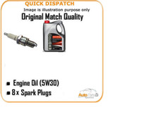 10L ENGINE OIL + 8 X PLUGS FOR MASERATI QUATTROPORTE 4.2 2004- AOF1