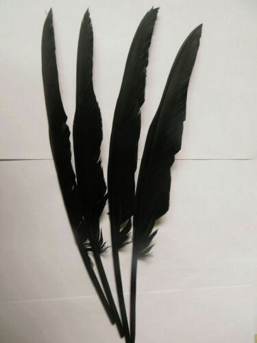 15 Stck. Schwarz Rabe Feder Dekor Handarbeit Handwerk Zum Selbermachen Kostüm Cosplay Zubehör