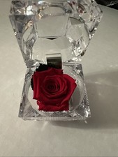 Forever preserved red rose in acrylic ring presentation box