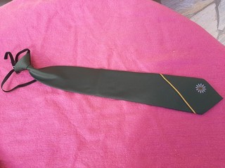 Polizeikrawatte neue Krawatte Polizei Baden Württemberg grüne Ausführung