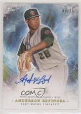 2017 Topps Pro Debut Wave of the Future 9/25 Anderson Espinoza #WFA-AE Auto s3g