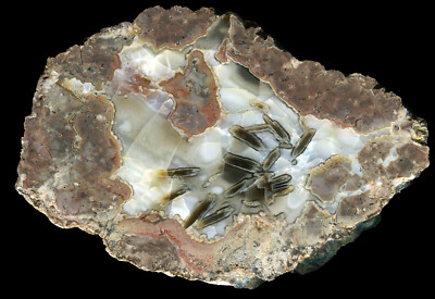 Ankara / Cubuk Thunderegg Agate Geode from Turkey - Sagenite in Opal