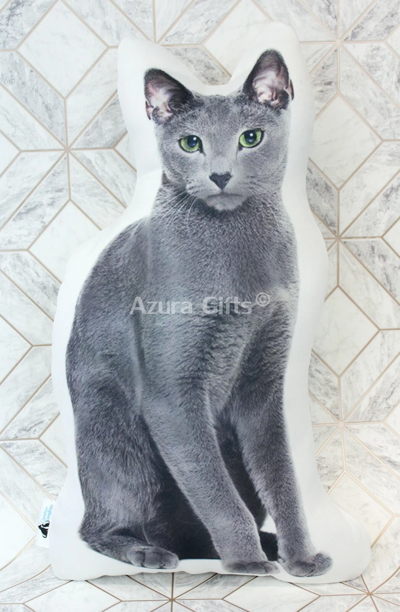 Large russian cheap blue cat