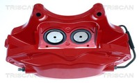 Bremssattel Triscan 8175 81106 FüR Tesla Model 100D Awd 60D 70D 75D 85D 90D P85