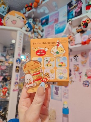 Sanrio Omori Acryl Ständer Schlüsselanhänger Blindbox Pochacco Figur Japan