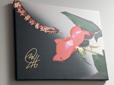 2024 ZAMBIA Signed 16X20 CANVAS Print #d 1/1 Copperhead POISON BEAUTY by BC Mixx