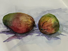 original watercolor sketch stilllife painting mangos tropical realistic signed   — photo 1