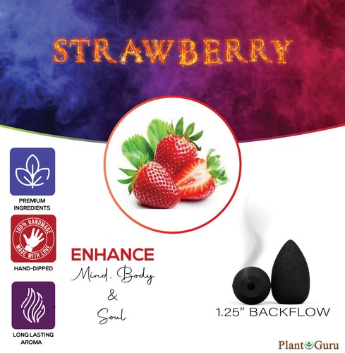 100 Charcoal Incense Cones BACKFLOW 1.25" Bulk For Waterfall Burner Holder Lot - Picture 155 of 173