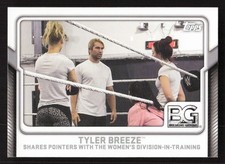 2017 Topps WWE Breaking Ground Tyler Breeze #5