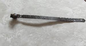 HTF Vintage Collectible 1938 Wisconsin Resident 88 Year Old Deer Tag Unlocked