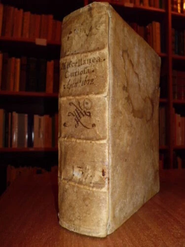 Seicentine dal 1600 al 1699