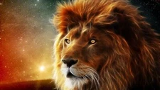 LION SPIRIT ANIMAL - Poster 20x30 wall decor, king of the jungle