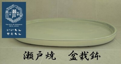 Japanese bonsai pot ''Seto ware bonsai pot''