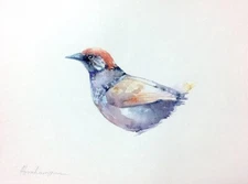 Trush,  Birds, Watercolor artwork, Handmade, Original painting on paper