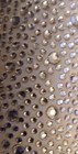LADIES  ElLEGANT SILVER SPARKLEY BADGLEY MISCHKA PUMPS — photo 9