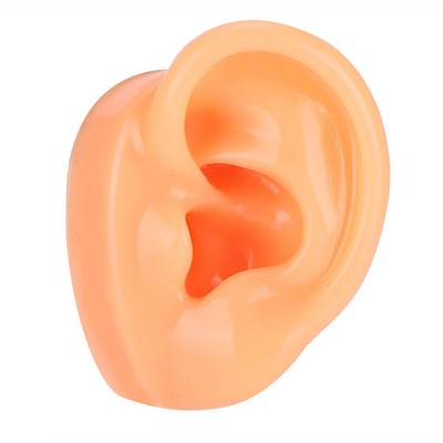 Silikon Left Ear Model Simulation Display Ear Model Für Krankenhaus Hörgerät TOS