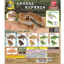 Toad forest green tree frog Collection complete set 5 capsule toy Shipping Free