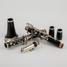 B-flat Tune Professional High Quality Woodwind Instruments Clarinet Black Tube
