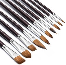 Watercolor Brushes Professional, 10Pcs Kolinsky Sable Brush Set Variety Sh