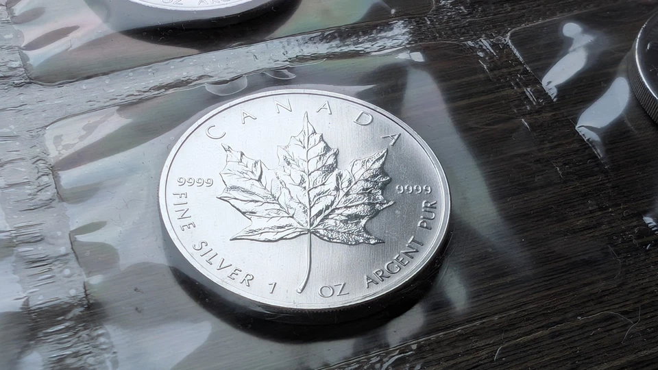 10 x 1 oz Silber 9999 Maple Leaf 2007 in RCM Originalfolie, 10 Unzen Silber - Bild 3 von 4