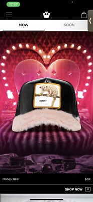 New Goorin Bros Limited Edition Honey Bear Trucker Hat s_wp_632f594e308f070980be8b72.webp main image 2