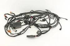 HARLEY-DAVIDSON 2005 ELECTRA GLIDE OEM MAIN ENGINE WIRING HARNESS NICE! *VIDEO*