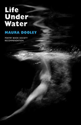 Life Under Water By Maura Dooley