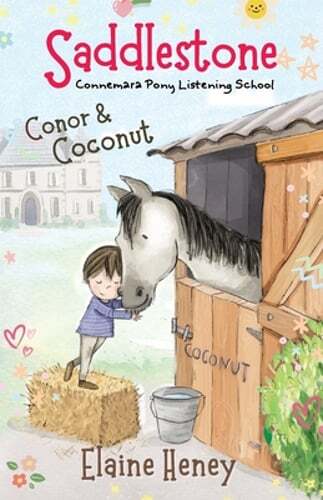 Saddlestone Connemara Pony Listening School | Conor and Coconut by Elaine Heney