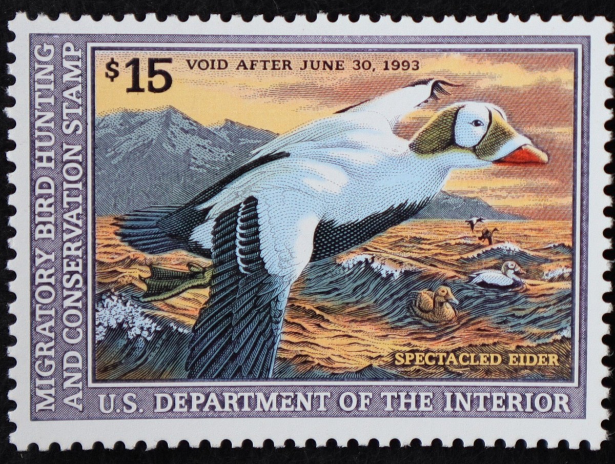 U.S. Mint Stamp Scott #RW59 $15 Duck Stamp. VF. Never Hinged