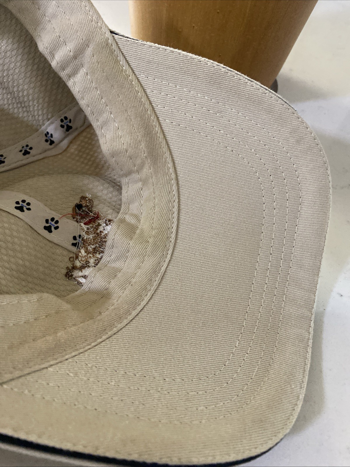 German Shorthaired Pointer Your Breed Adjustable … - image 12