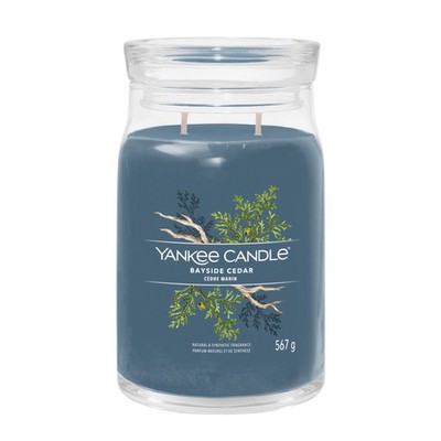 YANKEE CANDLE Große Signature Kerze BAYSIDE CEDAR 567 g Duftkerze
