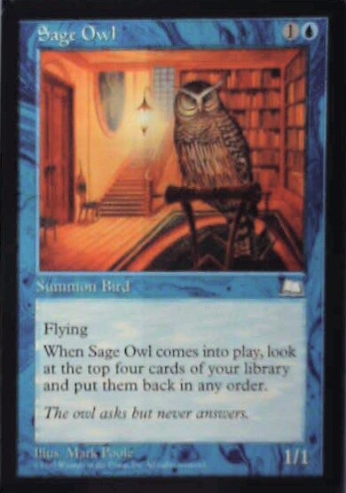 Sage Owl - Weatherlight: #52, Magic: The Gathering Lp R45