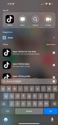 Apple iPhone 15 Pro Max WITH TIKTOK - 256 GB - Black (Verizon)