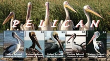 Union Island 2021 - Pelicans Birds - Sheet of 5 Stamps - MNH