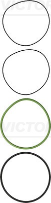 Cylinder Rod Gasket Set for MAXTER, PREMIUM, RENAULT TRUCKS