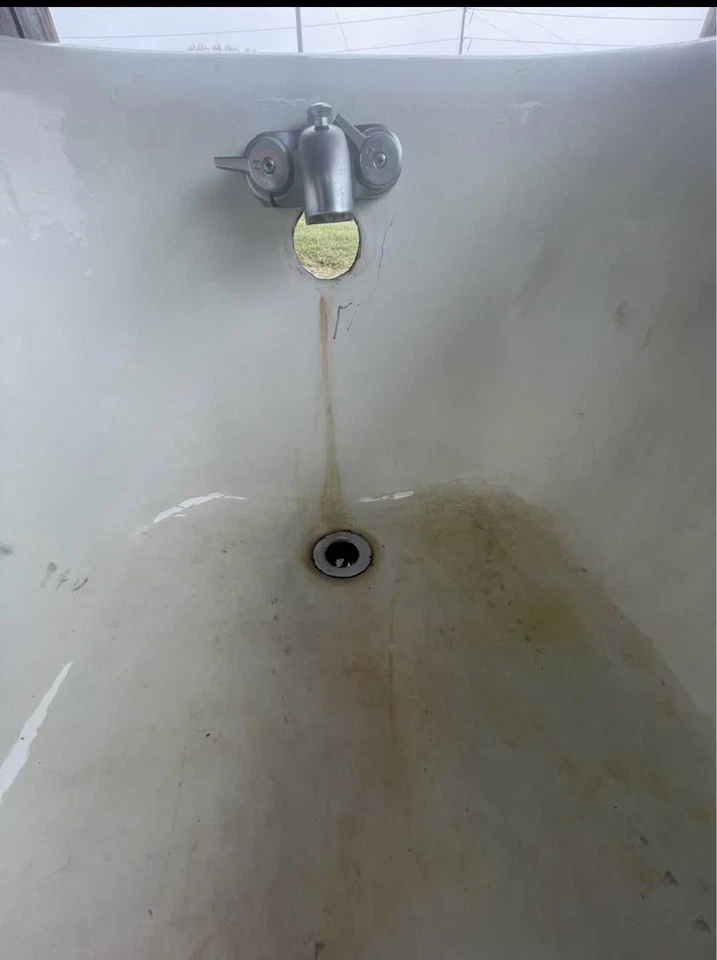 Bañera de pedestal de hierro fundido vintage Foto 3 de 4