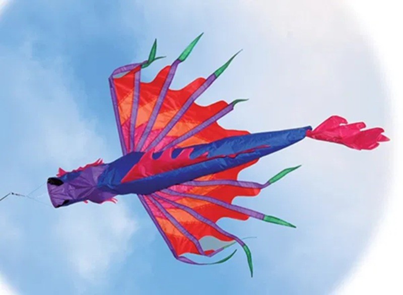 Chinese Dragon Windsock for Flagpole - 180cm length,  an exotic oriental