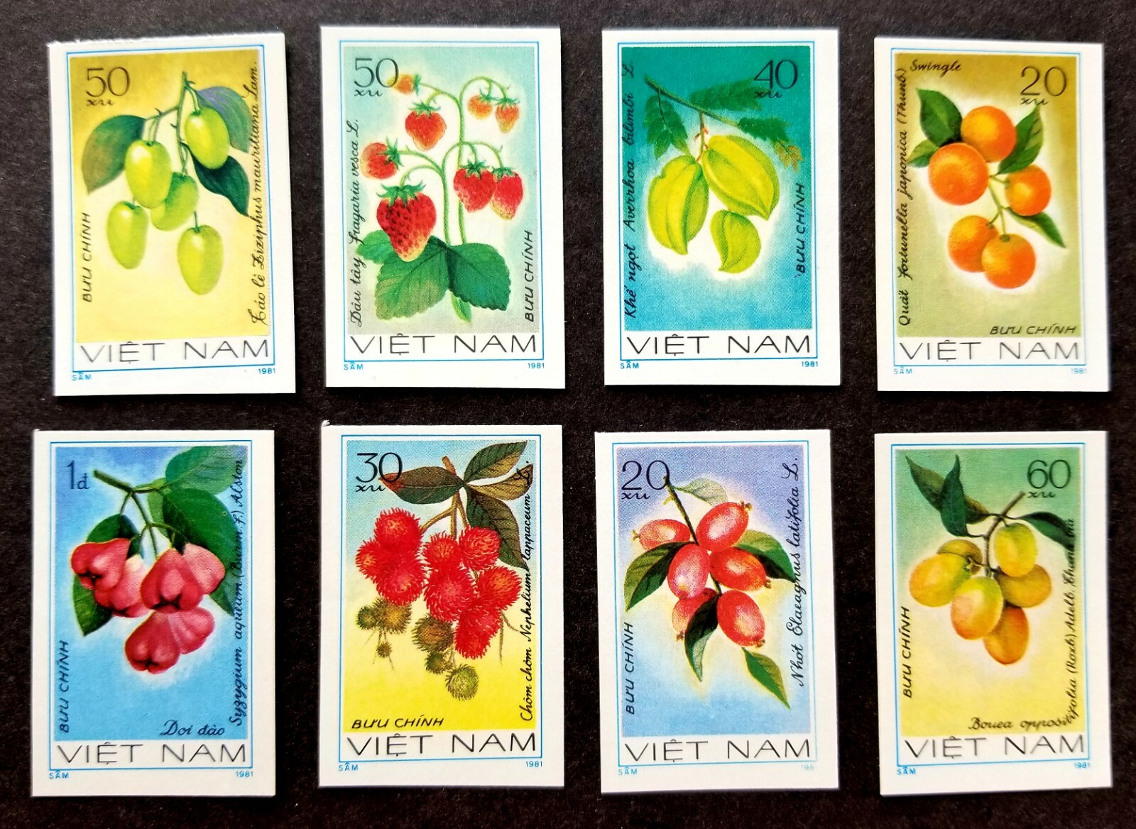 Vietnam Fruits 1981 Alimento Fresa Rambután Cítrico Planta (sello) MNH *imperf