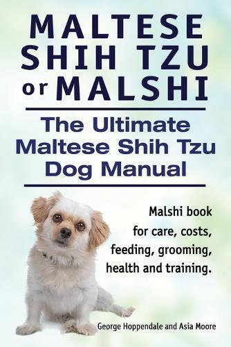 Thumbnail - George Hoppenda Maltese Shih Tzu Or Malshi. The Ultimate Maltese S